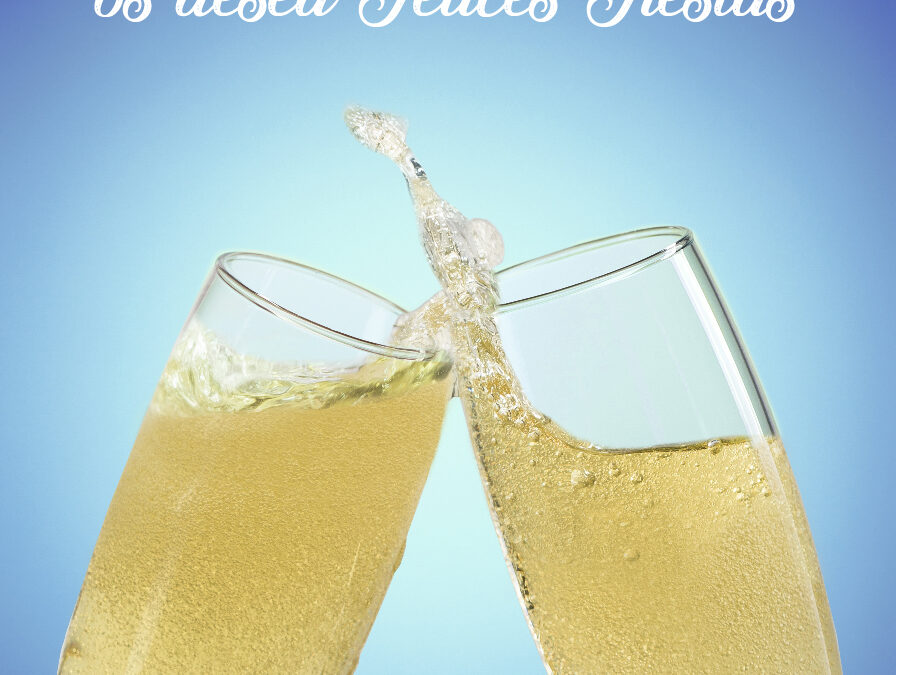 ¡Felices Fiestas y Próspero 2019!